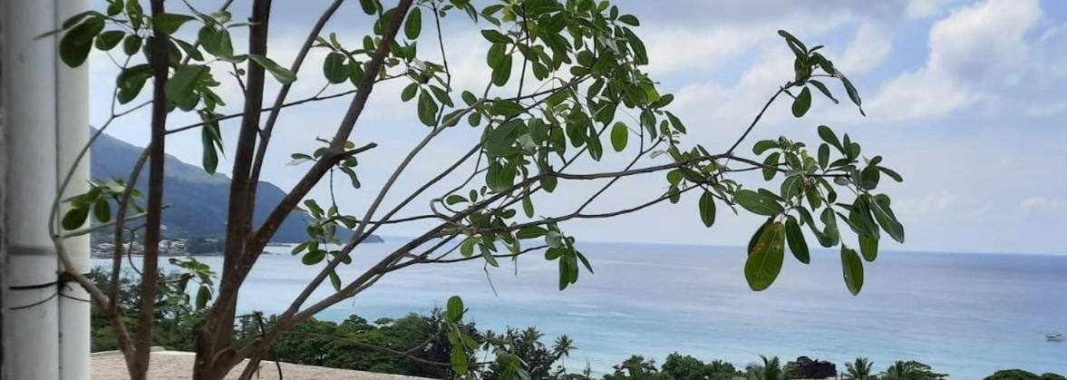 Northwest Bay Seaview Apartment Beau Vallon (Mahe) Exterior foto
